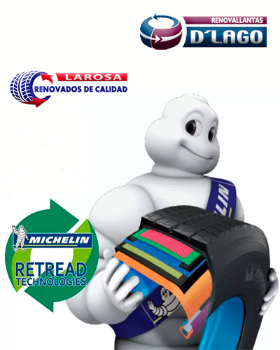 Renovado Michelin